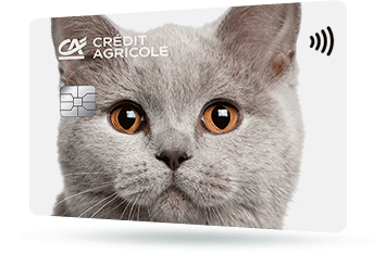 CA272 – Karta Credit Agricole z grafiką głowy szarego kota brytyjskiego